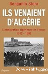 vignette